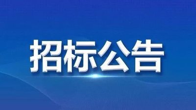 內(nèi)燃平衡重式叉車(chē)詢(xún)價(jià)單